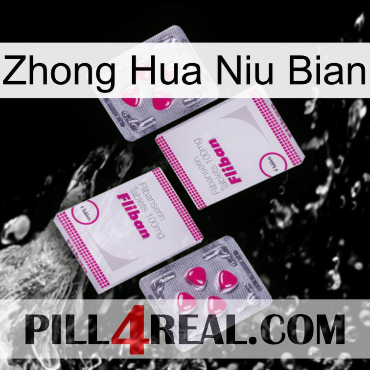 Zhong Hua Niu Bian 33